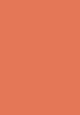 Solid Color finish CZ3-2