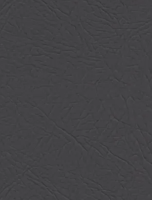 Solid Color finish B029